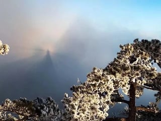 Huangshan Mountain Hiking and Photographic Tour