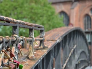 Half Day Walking Tour in Hamburg