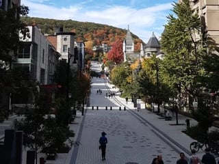 Montreal classic Private Tour by car (4 hours)