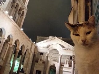 Walking tour Split (Diocletian's palace)